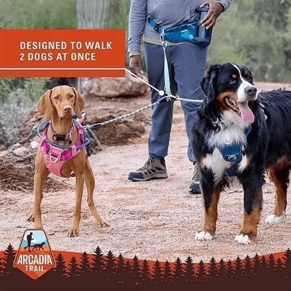 Arcadia Trail Reflective Paracord Dog Leash Coupler‎ Blue Silver Walking Hiking